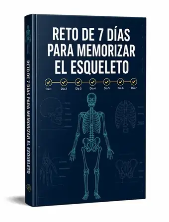 Bono #1: Reto de 7 Días para Memorizar el Esqueleto