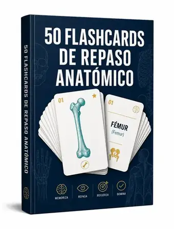 Bono #2: 50 Flashcards de Repaso Anatómico