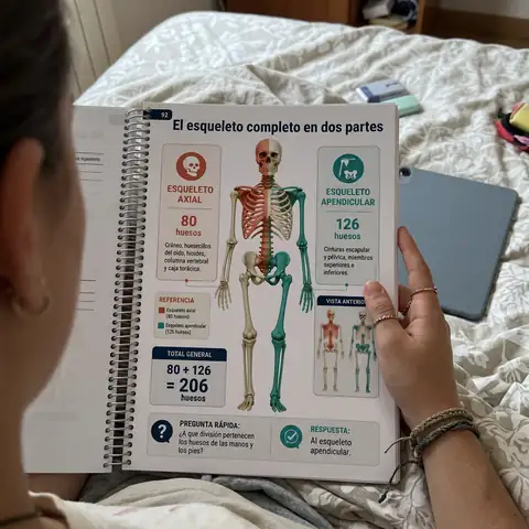 Estudiante pegando las láminas del atlas en la pared
